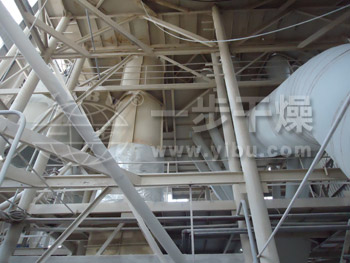 大豆蛋白专用喷雾干燥机